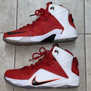 NIKE LEBRON 12 "HEART OF A LION" size 10